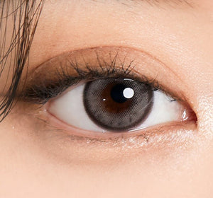 Molton Ash Brown (10p) オリアナモルトン ワンデー アッシュブラウン - Idol Karakon