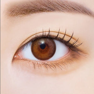 Polaris Ursa Brown ポラリス ウルサ ブラウン - Idol Karakon