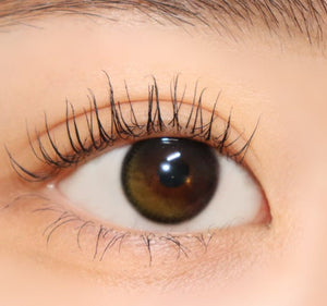 Polaris Ursa Deep Olive Green ポラリス ウルサ オリーブ *公式は「オリーブ」。 - Idol Karakon