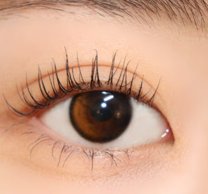 Polaris Ursa Eclipse Brown ポラリス ウルサ エクリプス ブラウン - Idol Karakon