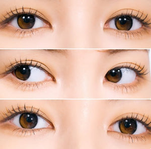 Polaris Ursa Eclipse Brown ポラリス ウルサ エクリプス ブラウン - Idol Karakon