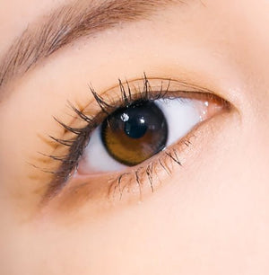 Polaris Ursa Eclipse Brown ポラリス ウルサ エクリプス ブラウン - Idol Karakon