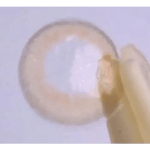 LensRang iWWi Celinay Brown - Idol Karakon