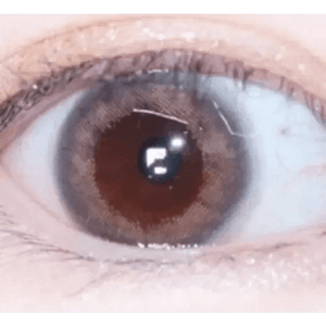 LensRang iWWi Celinay Gray - Idol Karakon