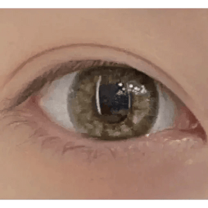 Olens Jennifer Olive Green - Idol Karakon