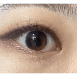 LensTown Joy Beige Brown - Idol Karakon