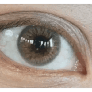 LensTown Kiralet Brown - Idol Karakon