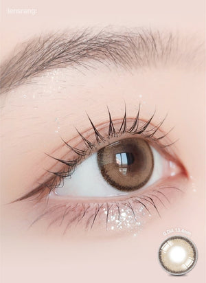 LensRang DayLook 1Day Brown (5p) - Idol Karakon