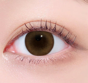 LensTown 247 BB Honey Brown (10p) - Idol Karakon