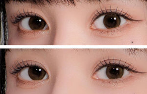 LensTown 247 BB Honey Brown (10p) - Idol Karakon