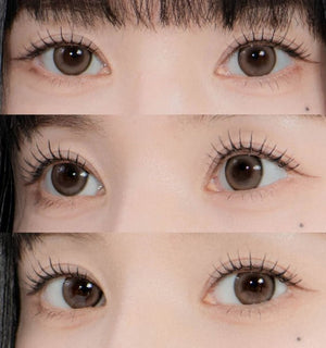 247 ボム ブラウン トーリック — 247 Bom Brown Toric - Idol Karakon