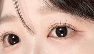 シティ・オブ・ブラック ブラック(10枚) — City of Black Black (10p) - Idol Karakon