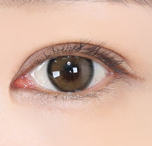 エレバ ベージュブラウン — Eleva Beige Brown - Idol Karakon