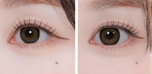 エレバ ベージュブラウン — Eleva Beige Brown - Idol Karakon