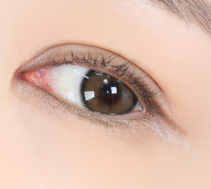 エレバ ベージュブラウン — Eleva Beige Brown - Idol Karakon