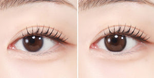 エレバ チョコ — Eleva Choco - Idol Karakon