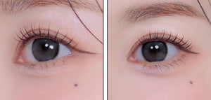 エレバ グレー — Eleva Gray - Idol Karakon