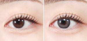 エレバ グレー — Eleva Gray - Idol Karakon