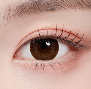 ライリークラシックプラス チョコ(20枚) — Lighly Classic Plus Choco (20p) - Idol Karakon