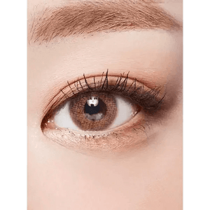 LensTown Rosy Basic Brown - Idol Karakon