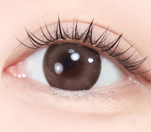 スコッチ 3カラー ブラウン — Scotch 3color Brown - Idol Karakon