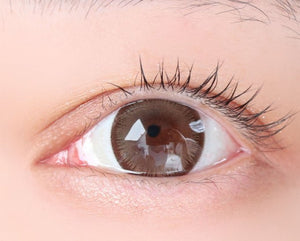 スコッチ 3カラー ブラウン — Scotch 3color Brown - Idol Karakon