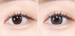 スコッチ 3カラー グレー — Scotch 3color Gray - Idol Karakon