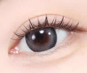 スコッチ 3カラー グレー — Scotch 3color Gray - Idol Karakon