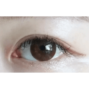 LensTown Silimedi Palm Brown - Idol Karakon