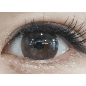 LensTown Silimedi Palm Gray - Idol Karakon