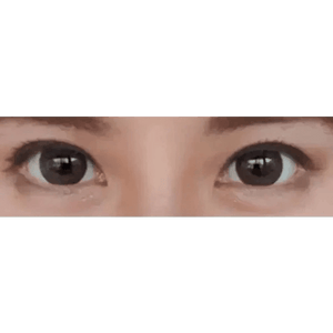 LensTown Silimedi Palm Gray - Idol Karakon