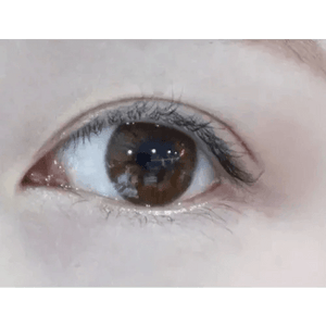 LensTown Sweet Pong Brown - Idol Karakon