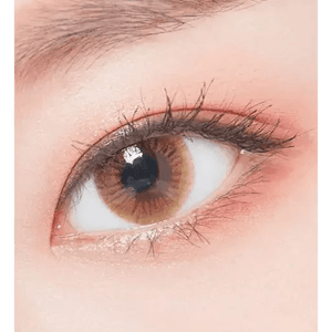 LensTown Sweet Pong Brown - Idol Karakon