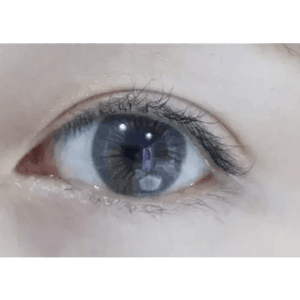 LensTown Sweet Pong Gray - Idol Karakon