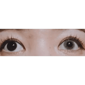 LensTown Sweet Pong Gray - Idol Karakon