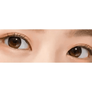 LensTown To Better Black 1day (10p) - Idol Karakon