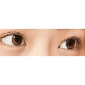 トゥーベター ブラウン ワンデー(10枚) — Tobetter Brown 1day (10p) - Idol Karakon