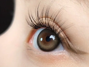 バターフロス ベージュブラウン — Butterflos Beige Brown - Idol Karakon