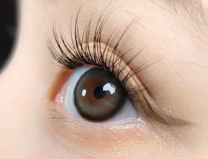 バターフロス グレー — Butterflos Gray - Idol Karakon