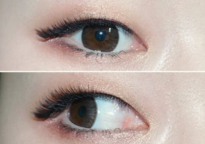 カカオ ブラウン — Cacao Brown - Idol Karakon