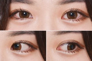 ダンディ ブラウン — Dandy Brown - Idol Karakon