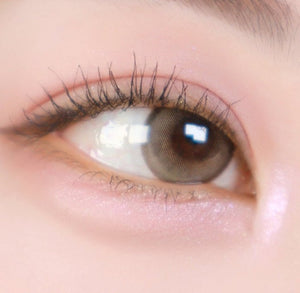 デイリング ブラウン(10p) — Day Ring Brown (10p) - Idol Karakon