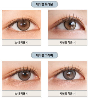 デイリング ブラウン(10p) — Day Ring Brown (10p) - Idol Karakon