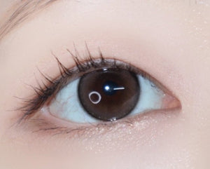 シュシュ 1Day ブラウン(10p) — ShuShu 1Day Brown (10p) - Idol Karakon