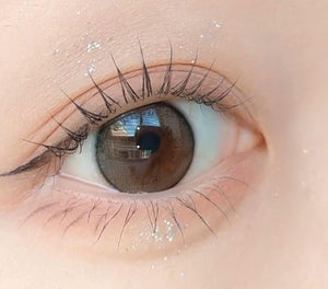 シュシュ 1Day ブラウン(10p) — ShuShu 1Day Brown (10p) - Idol Karakon