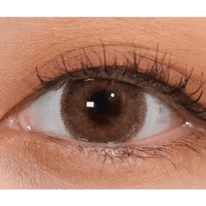 LensVery Silhouette Hazel (10p) - Idol Karakon