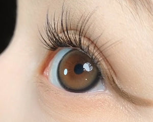 スウィートファイ ブラウン — Sweetfy Brown - Idol Karakon