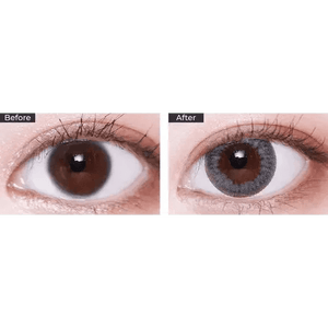 LensVery Sydney Gray (10p) - Idol Karakon