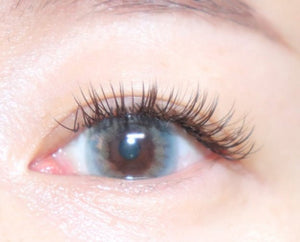 タロジョム ブルー(10p) — Taro Jeom Blue (10p) - Idol Karakon