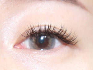 タロジョム グレージュグレー(10p) — Taro Jeom Grege Gray (10p) - Idol Karakon